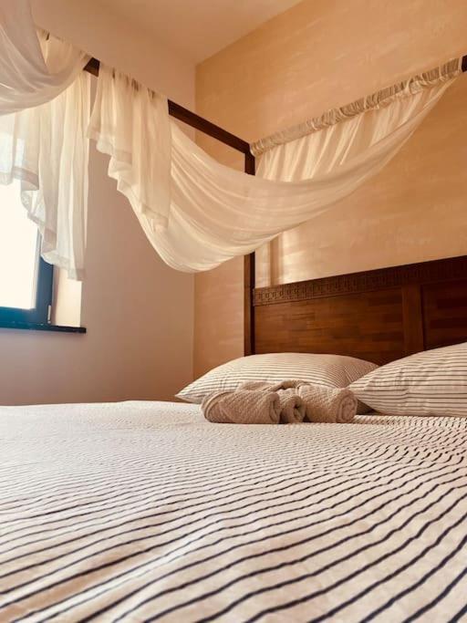 Dvojizbovy Apartman V Blizskom Centre Bardejova المظهر الخارجي الصورة